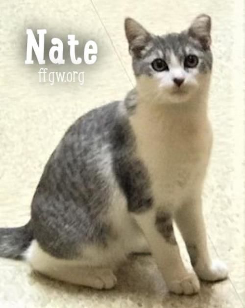 5) Nate.jpg